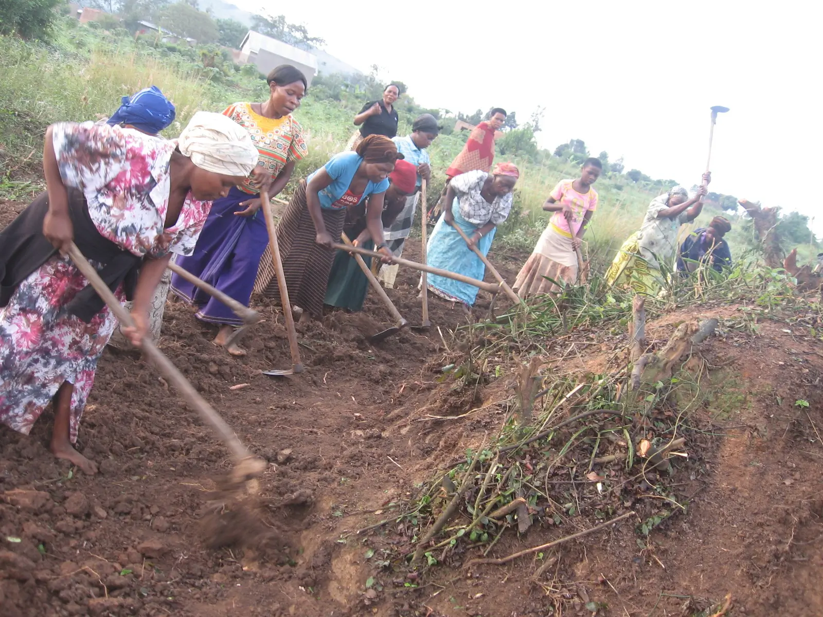 LWOSO Community Meeting