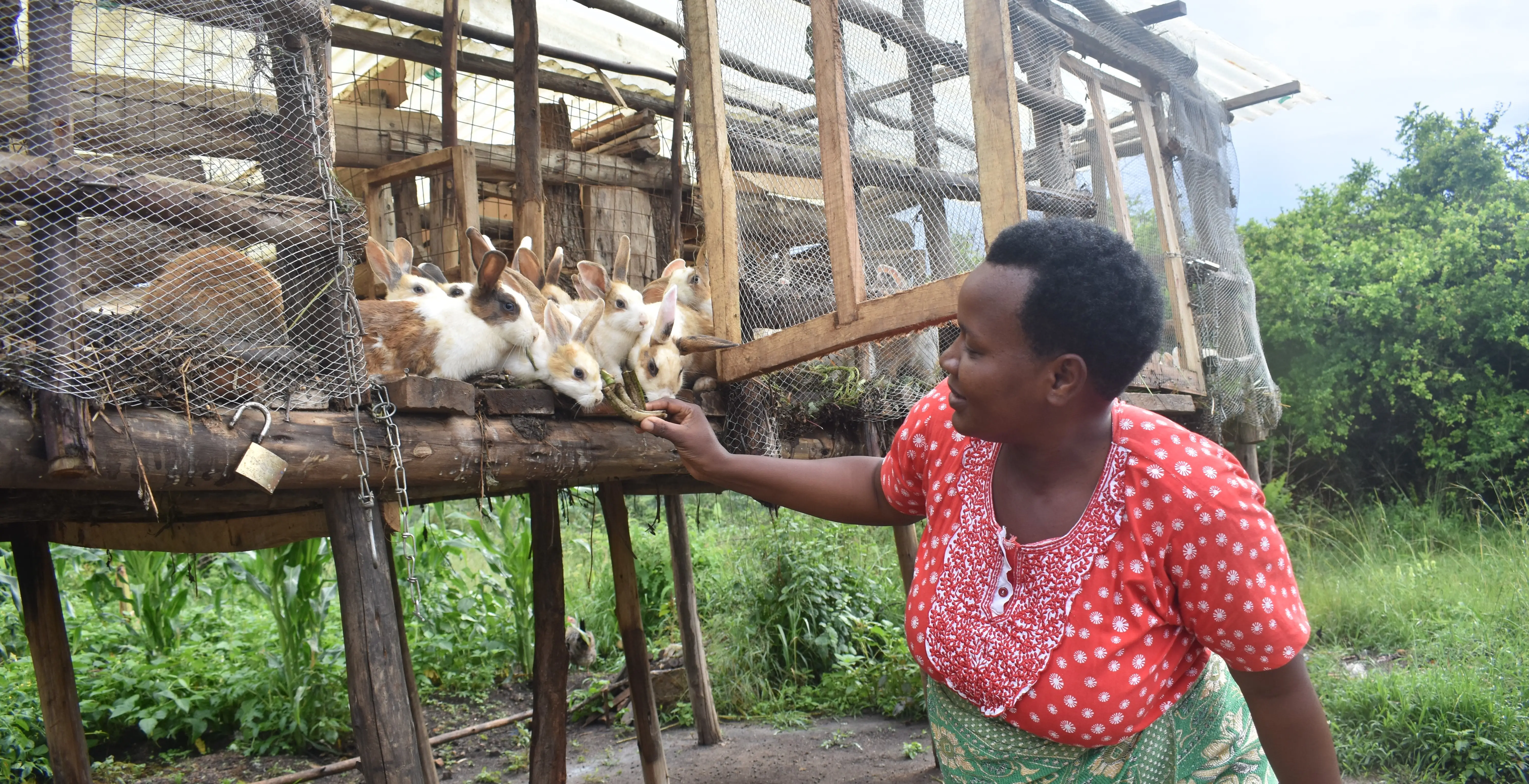 Shepherd High School