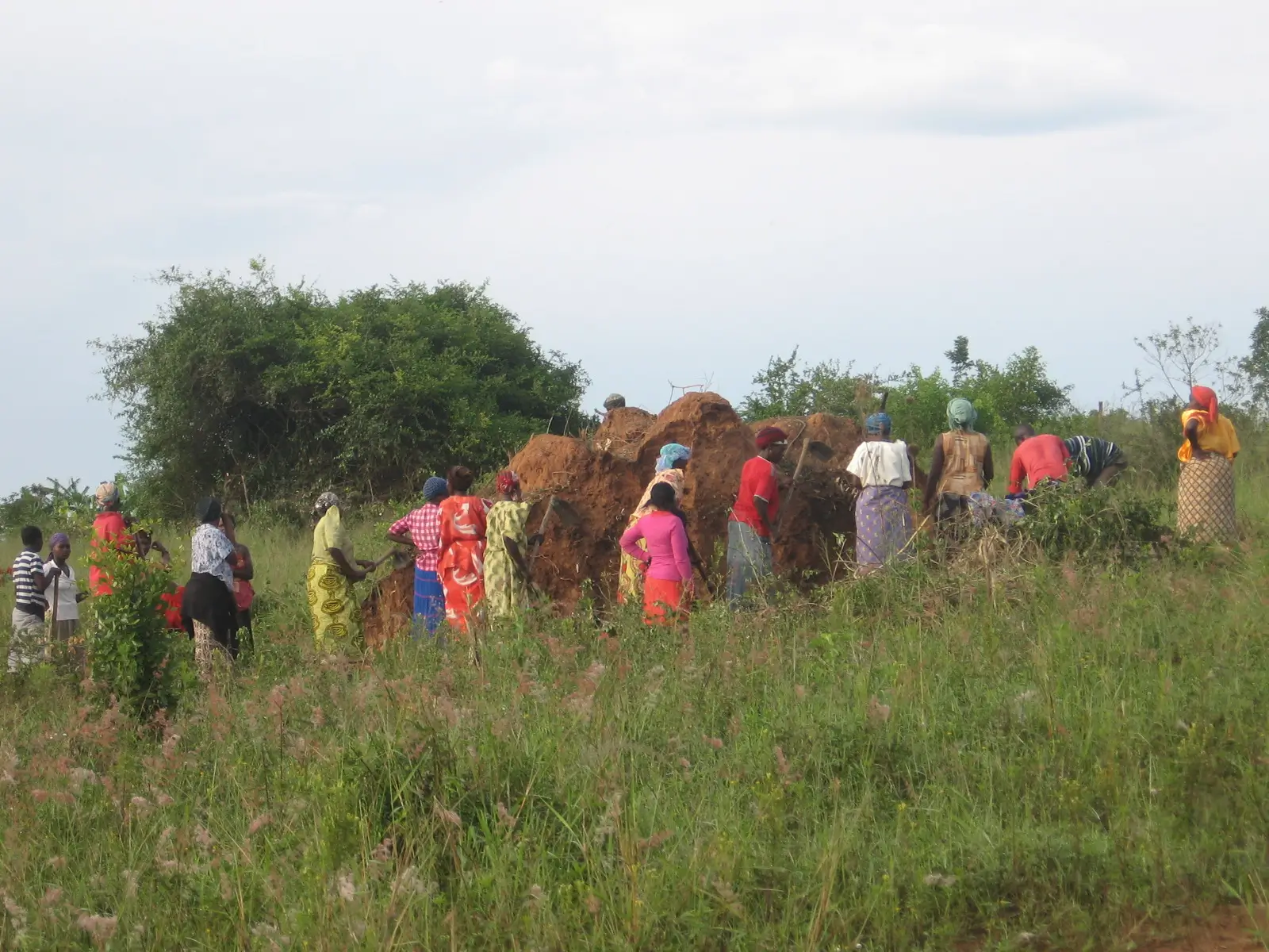 Students at Shepherd High